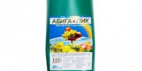 Cerkosporoza šećerne repe: liječenje, mjere suzbijanja, opis, fotografija